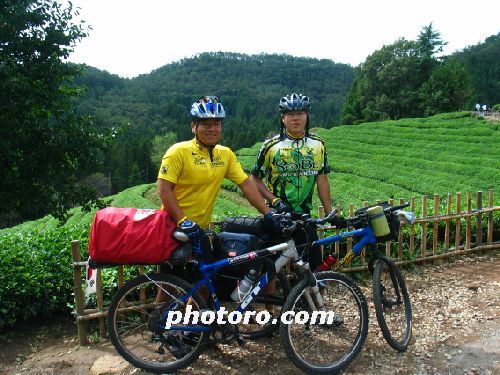 보성 차밭 누빈 MTB전국투어