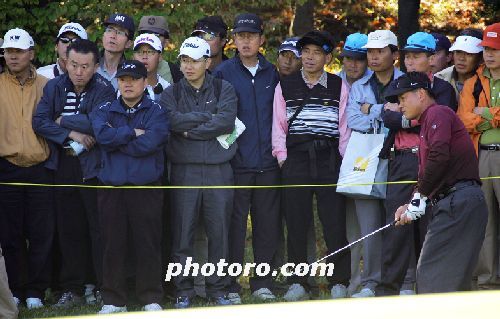 최경주의 어프로치를 숨죽이고 지켜보고 있는 갤러리