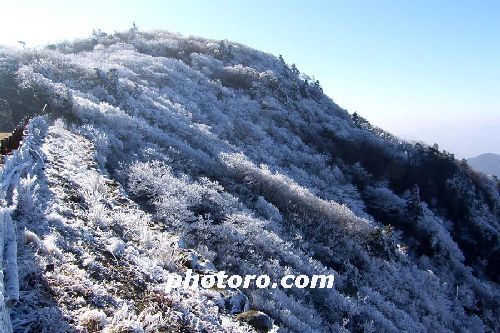 눈꽃 세상 이룬 덕유산