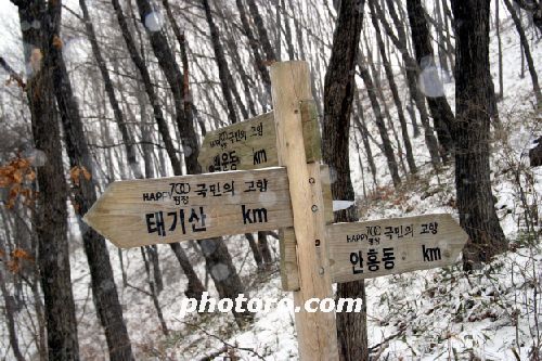 해피 700 이정표-태기산 눈꽃산행