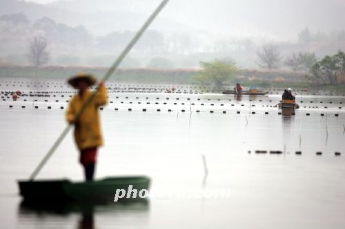 삶의 터전인 우포의 아침