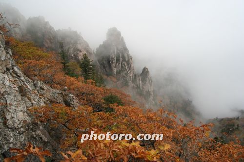 선경을 이룬 설악단풍