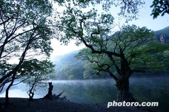 주산지, 누구를 기다리는가~~