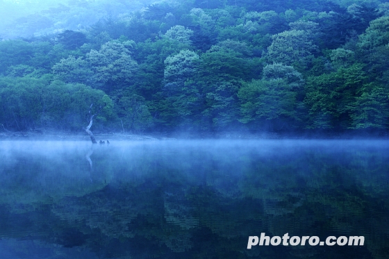 주산지, 신선이 노는 곳~~