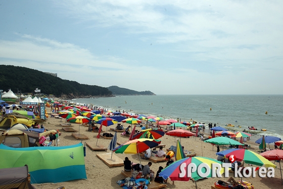 `서울역에서 1시간` 공항철도로 막바지 피서를~