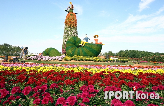 공할철도 타고 떠나자 `드림파크 국화축제`로`