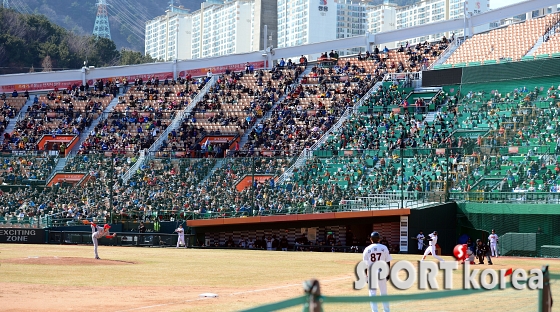 내야를 가득메운 롯데 야구팬들!