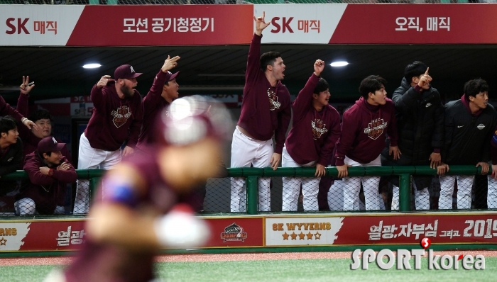김하성의 홈런에 기뻐하는 키움!