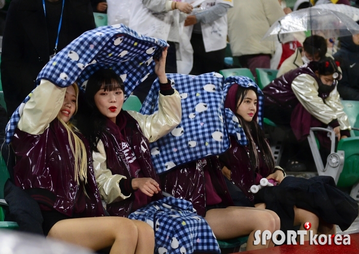 많은 비에 우산으로 변한 무릎 담요